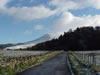 Schiehallion in winter